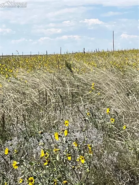1999 Sengbeil Rd, Yoder, CO 80864 photo 2