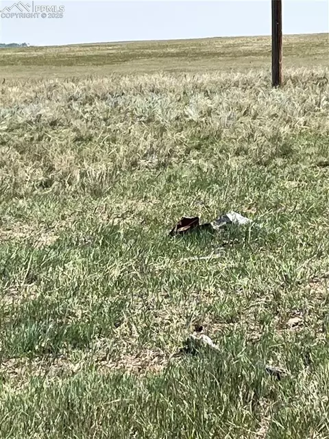 1999 Sengbeil Rd, Yoder, CO 80864 photo 3