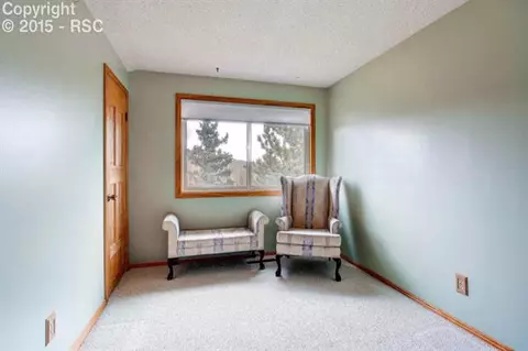 361 Pine Bluff Dr, Divide, CO 80814 photo 16