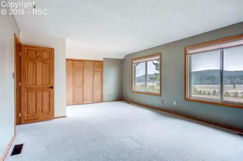 361 Pine Bluff Dr, Divide, CO 80814 photo 12