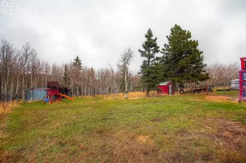 361 Pine Bluff Dr, Divide, CO 80814 photo 23