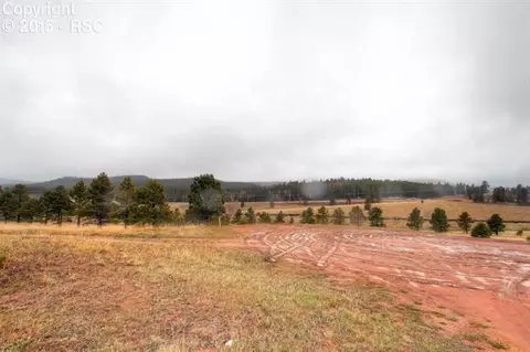 361 Pine Bluff Dr, Divide, CO 80814 photo 28