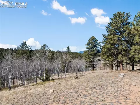 Other - 4265 County Road 51 Rd, Divide, CO 80814 photo 5 of 14