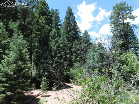 13175 Spruce Creek Cir, Larkspur, CO 80118