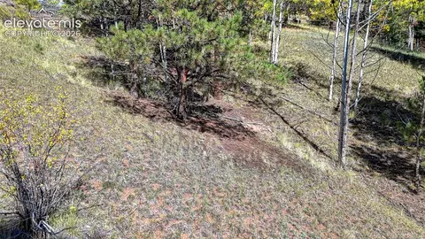 136 Gold Crown Cir, Cripple Creek, CO 80813