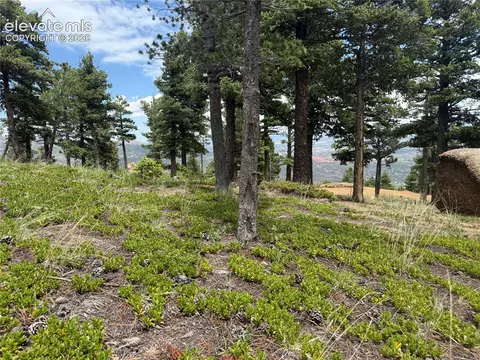 254 Grand Horizon Vw, Manitou Springs, CO 80829