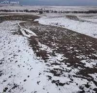 13403 Buck Draw Pt, Kiowa, CO 80117 photo 3