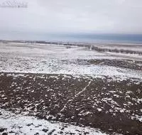 13403 Buck Draw Pt, Kiowa, CO 80117 photo 5