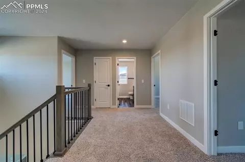 862 Naismith Ln, Monument, CO 80132 photo 31