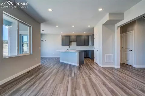 862 Naismith Ln, Monument, CO 80132 photo 9