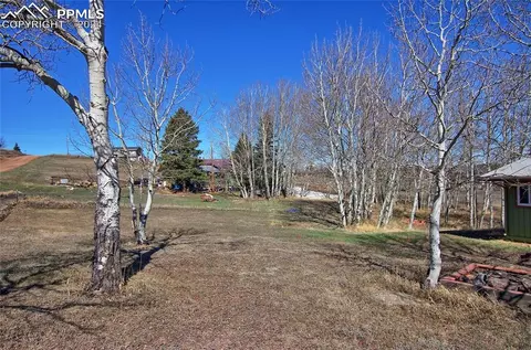 Exterior - 215 Will Scarlet Dr, Divide, CO 80814 photo 7 of 7