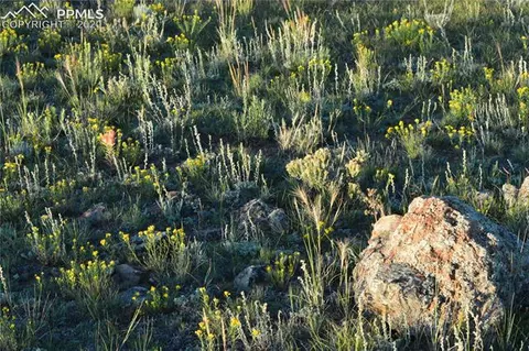 3610 Apache Trl, Hartsel, CO 80449 photo 9