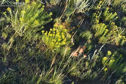 3610 Apache Trl, Hartsel, CO 80449 photo 8