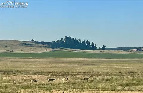lot1 Craven Pl, Elbert, CO 80106