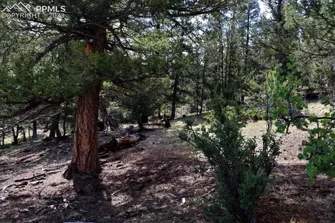 2780 Leonardo Ln, Hartsel, CO 80449