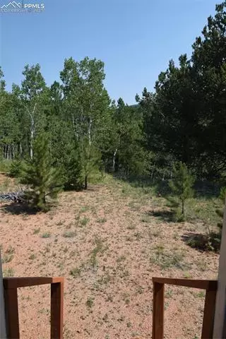 80 Spur Rd, Divide, CO 80814 photo 48