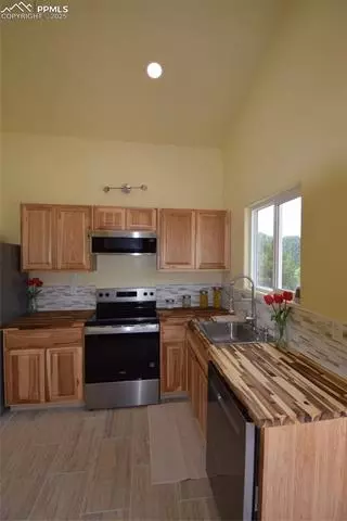 80 Spur Rd, Divide, CO 80814 photo 15