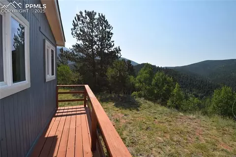 80 Spur Rd, Divide, CO 80814 photo 3