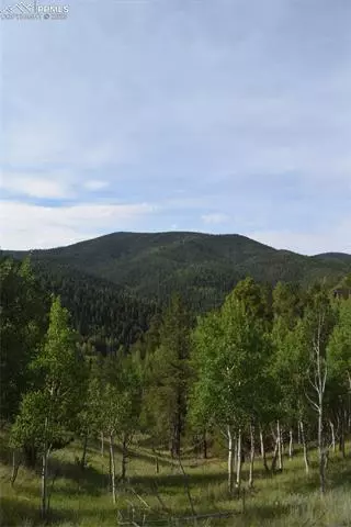 80 Spur Rd, Divide, CO 80814 photo 37