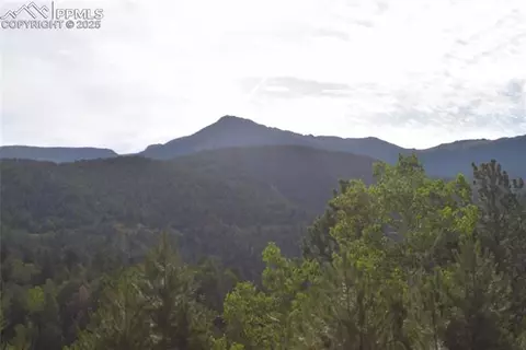 80 Spur Rd, Divide, CO 80814 photo 34
