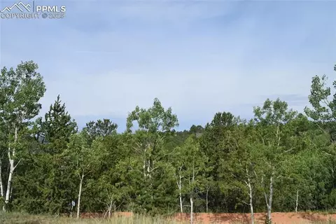 80 Spur Rd, Divide, CO 80814 photo 41