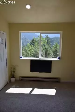 80 Spur Rd, Divide, CO 80814 photo 23
