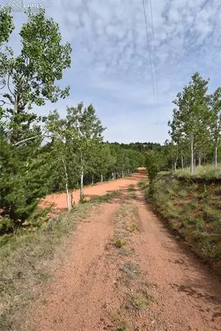 80 Spur Rd, Divide, CO 80814 photo 36