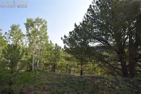 80 Spur Rd, Divide, CO 80814 photo 46