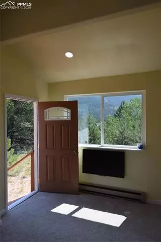 80 Spur Rd, Divide, CO 80814 photo 22