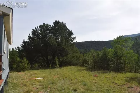 80 Spur Rd, Divide, CO 80814 photo 35