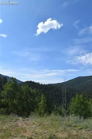 80 Spur Rd, Divide, CO 80814 photo 44