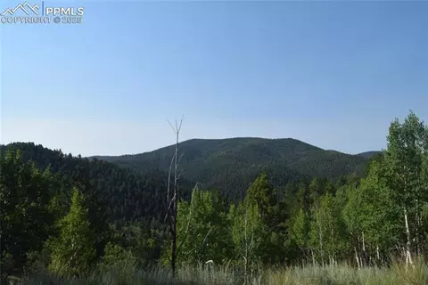 80 Spur Rd, Divide, CO 80814 photo 45