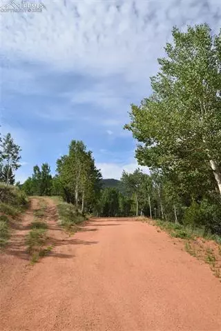 80 Spur Rd, Divide, CO 80814 photo 39