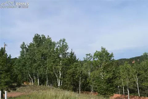 80 Spur Rd, Divide, CO 80814 photo 33