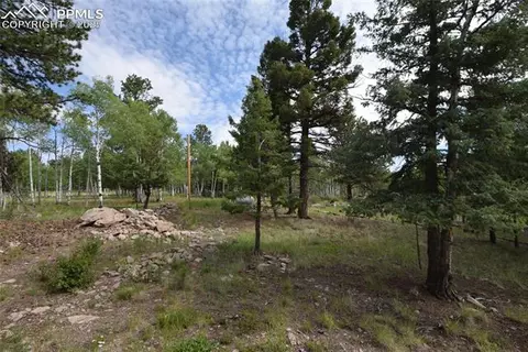 80 Spur Rd, Divide, CO 80814 photo 42