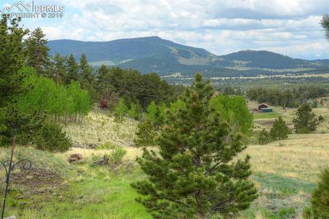 384 Elkhorn Trl, Guffey, CO 80820 photo 32