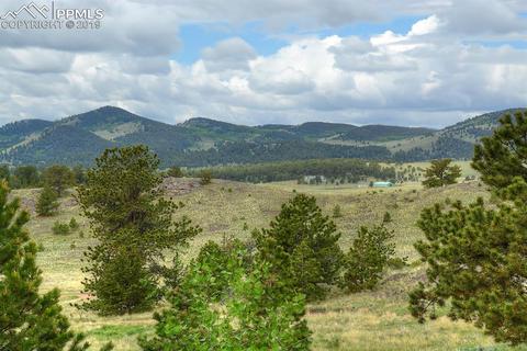 384 Elkhorn Trl, Guffey, CO 80820 photo 31