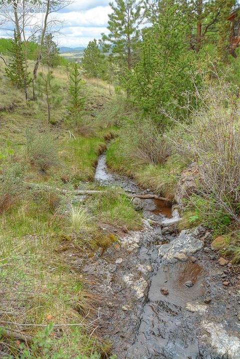 384 Elkhorn Trl, Guffey, CO 80820 photo 36