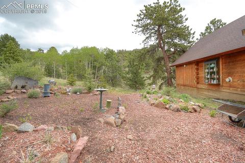 384 Elkhorn Trl, Guffey, CO 80820 photo 20