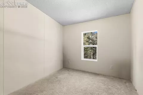 324 Will Stutley Dr, Divide, CO 80814 photo 25