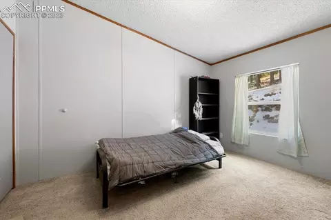 324 Will Stutley Dr, Divide, CO 80814 photo 21