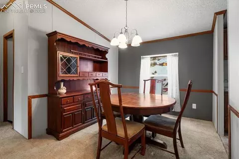 324 Will Stutley Dr, Divide, CO 80814 photo 10