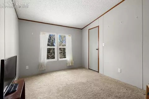 324 Will Stutley Dr, Divide, CO 80814 photo 24