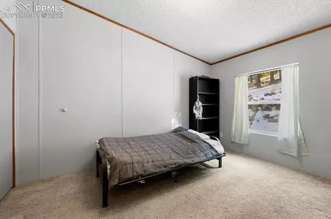 324 Will Stutley Dr, Divide, CO 80814 photo 21