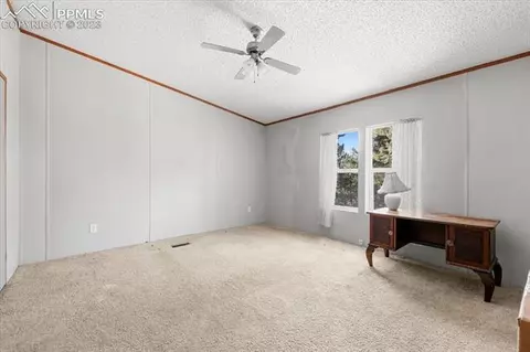 324 Will Stutley Dr, Divide, CO 80814 photo 15