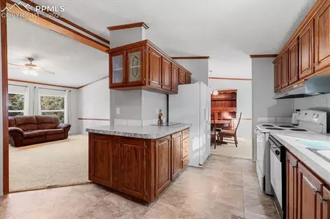 324 Will Stutley Dr, Divide, CO 80814 photo 8