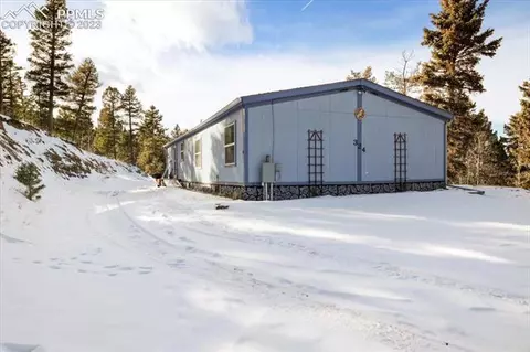 324 Will Stutley Dr, Divide, CO 80814 photo 3