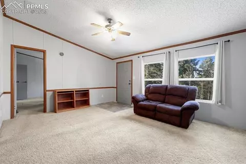 324 Will Stutley Dr, Divide, CO 80814 photo 13