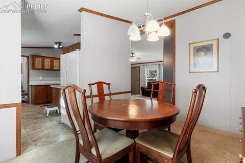 324 Will Stutley Dr, Divide, CO 80814 photo 11