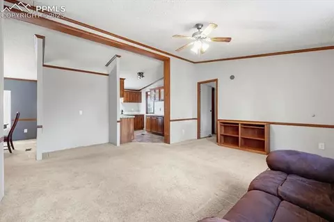 324 Will Stutley Dr, Divide, CO 80814 photo 14
